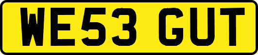 WE53GUT