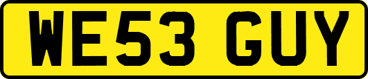 WE53GUY