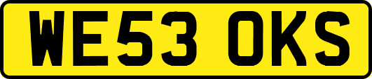 WE53OKS