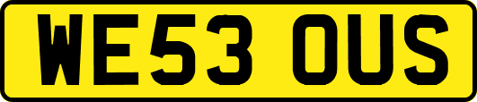 WE53OUS
