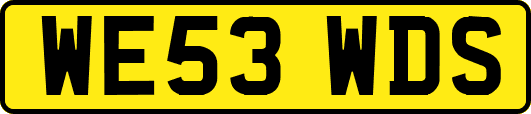 WE53WDS
