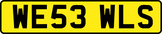 WE53WLS