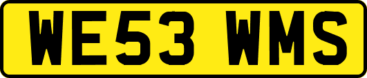 WE53WMS
