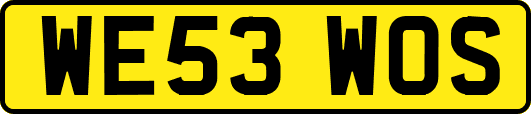 WE53WOS