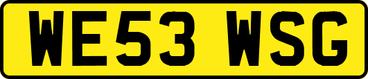 WE53WSG