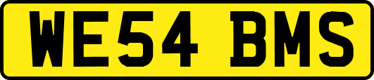 WE54BMS