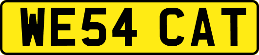 WE54CAT