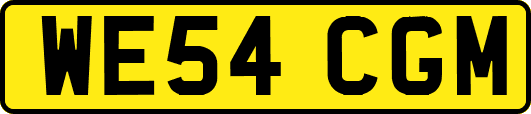 WE54CGM