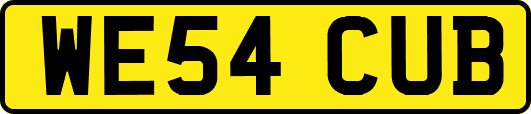 WE54CUB
