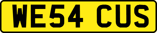 WE54CUS