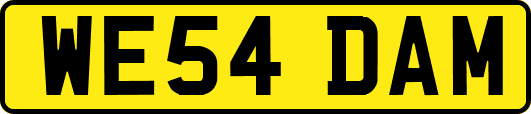 WE54DAM