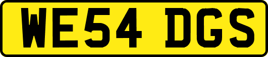 WE54DGS