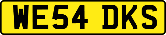 WE54DKS