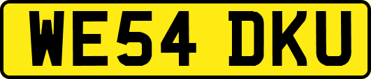 WE54DKU
