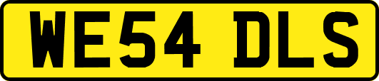 WE54DLS