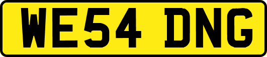 WE54DNG