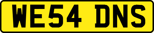 WE54DNS