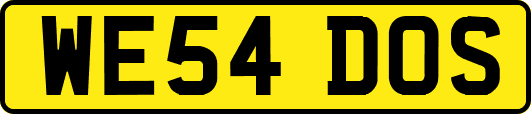 WE54DOS