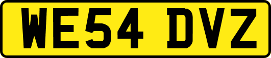 WE54DVZ