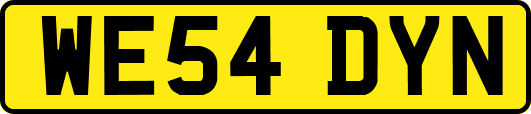 WE54DYN