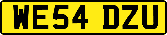 WE54DZU