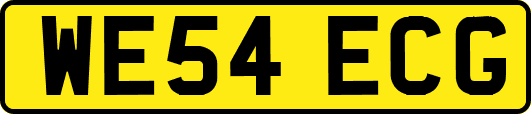 WE54ECG