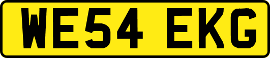 WE54EKG