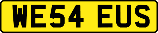 WE54EUS
