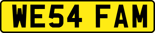 WE54FAM