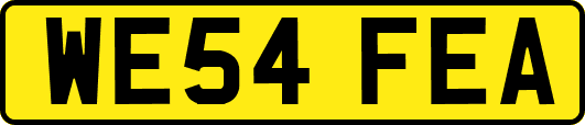 WE54FEA