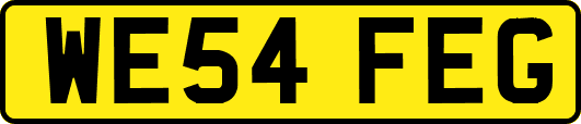 WE54FEG