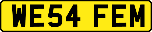 WE54FEM