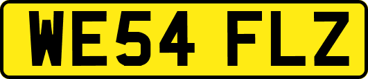 WE54FLZ