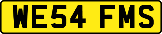 WE54FMS