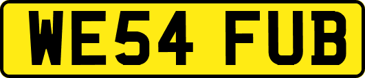 WE54FUB