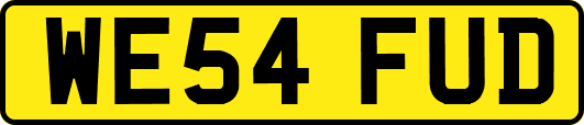 WE54FUD