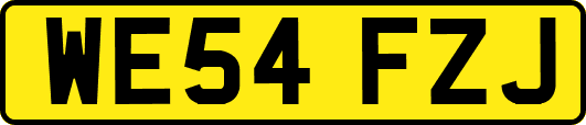 WE54FZJ