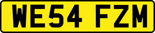 WE54FZM