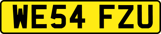 WE54FZU