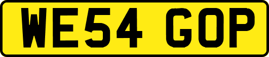 WE54GOP