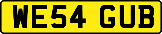 WE54GUB