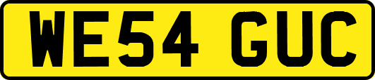 WE54GUC