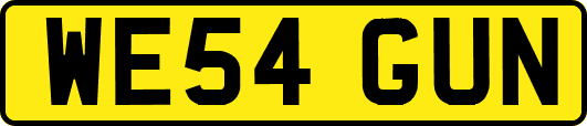 WE54GUN