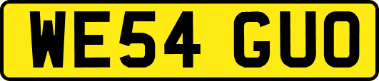 WE54GUO