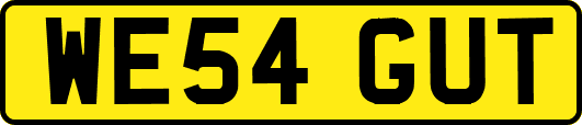WE54GUT