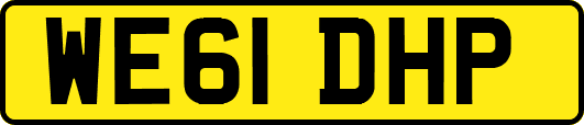 WE61DHP