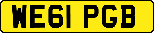 WE61PGB