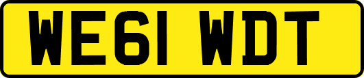 WE61WDT