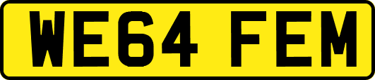 WE64FEM