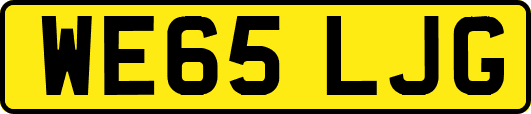WE65LJG